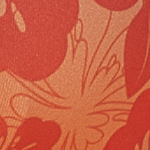 Orange hibisco