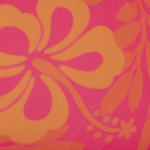 Pink hibisco